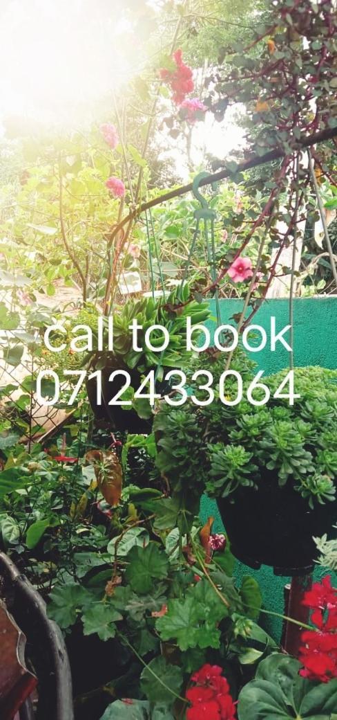 Ella Tunnel Corner Inn المظهر الخارجي الصورة